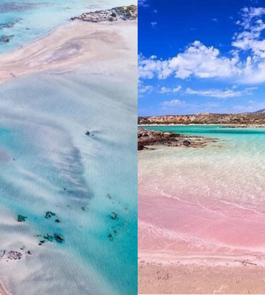 Trend Touristic Elafonisi Beach